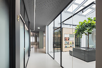 Modern hallway with glass walls and curved Liquid Line ceiling lighting